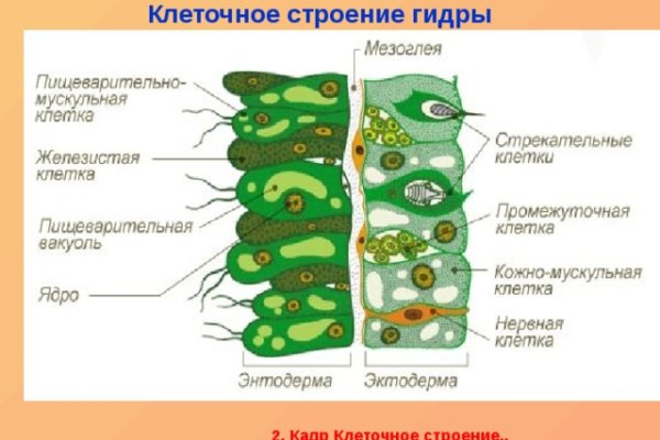 Кракен сайт 2krnk