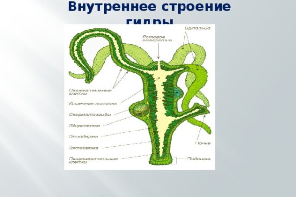 Активная ссылка на кракен