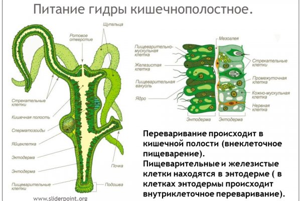 Кракен найдется все