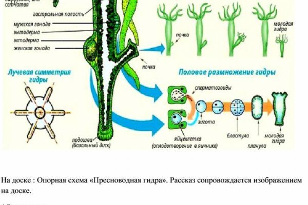 Сайт кракен онион